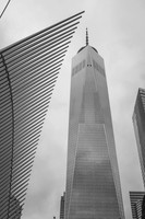 DSCF4449