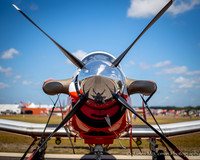 T-6
