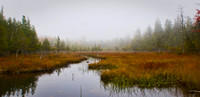 March Maine