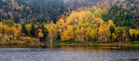 In the fall