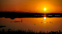 Orange sunset