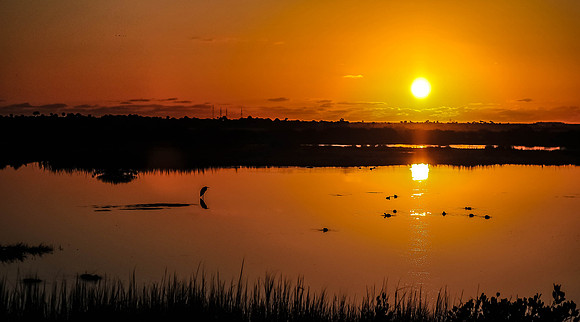 Orange sunset