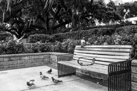 DSCF0268