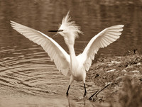 DSC_7660-Edit